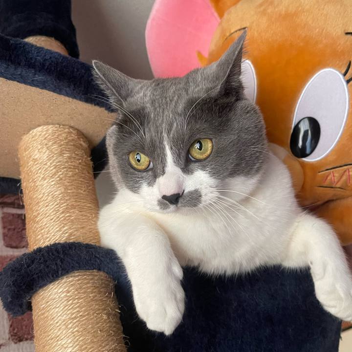 2130b874 23b9 4996 ba18 70413376bff3 1733869241677