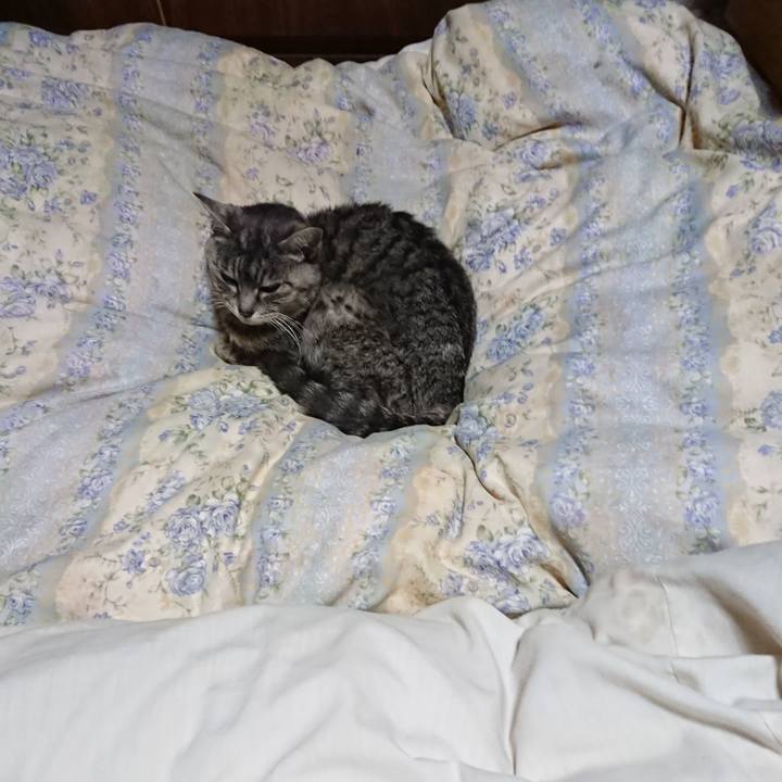 2130e3da b1fb 4e6e 8b92 86681c19bfb4 1583666372374