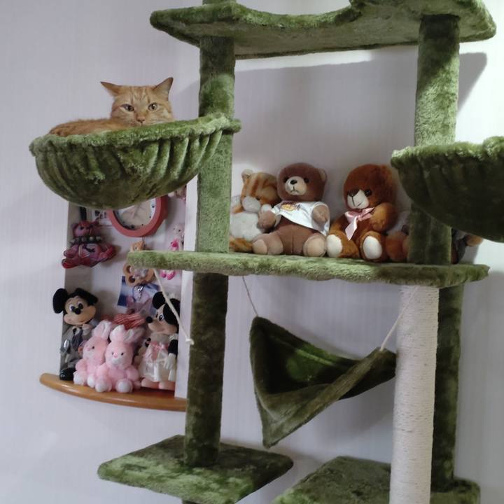 2130e8fa 730e 4ef6 a5b9 7f51053fd8bf 1676256249783