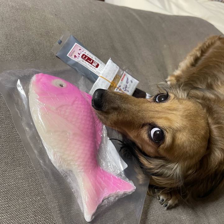 213103d6 9671 4e72 ace4 c049cfc31c26 1723979700884