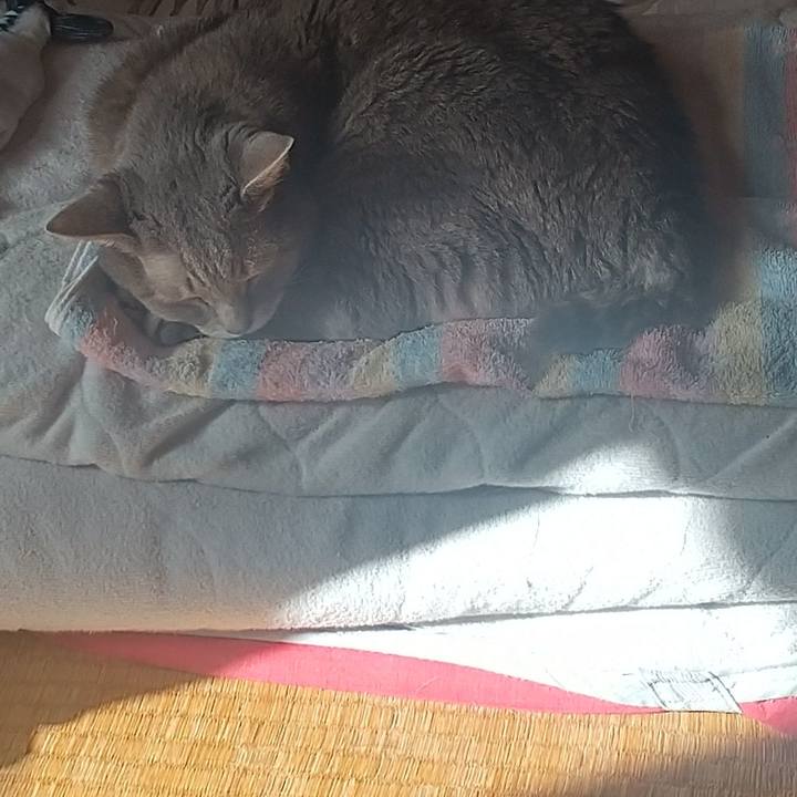 2131258c 888b 4498 9c8f 47d45221a673 1664581774786