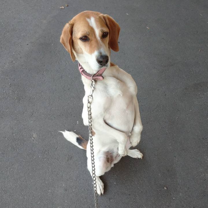 213157ac dcf1 40af b91b 259865b81e5f 1592737432565