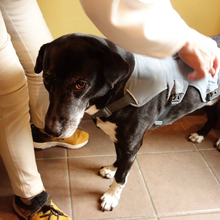 21318b71 7c2a 415e ac7e a98d9e3a528c 1745796794312