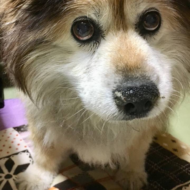 21318ed1 3b80 414b 87c0 e78a45fa6e0c 1638433979767