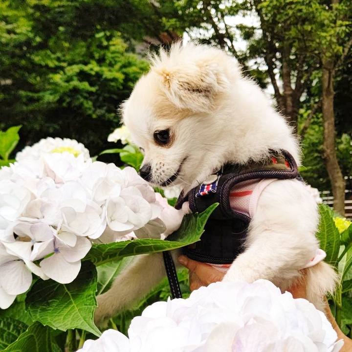 2131a187 8923 41e2 9386 1ed0da325b82 1699806552706