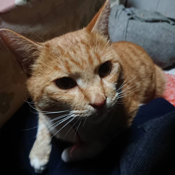 2131d988 6886 4e7c 8971 f4d0e4ed49a5 1574240320890