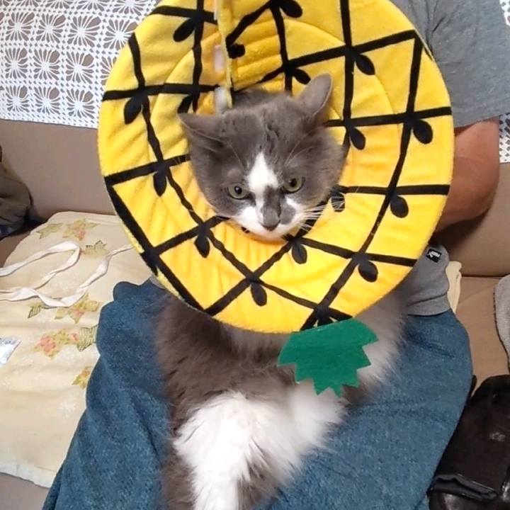 2131e931 1cfd 4241 bd68 eaea934cc7e8 1756016631834