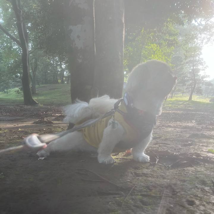 21320ffb a2f2 4110 b059 c8cd2c5a6f63 1720304169106