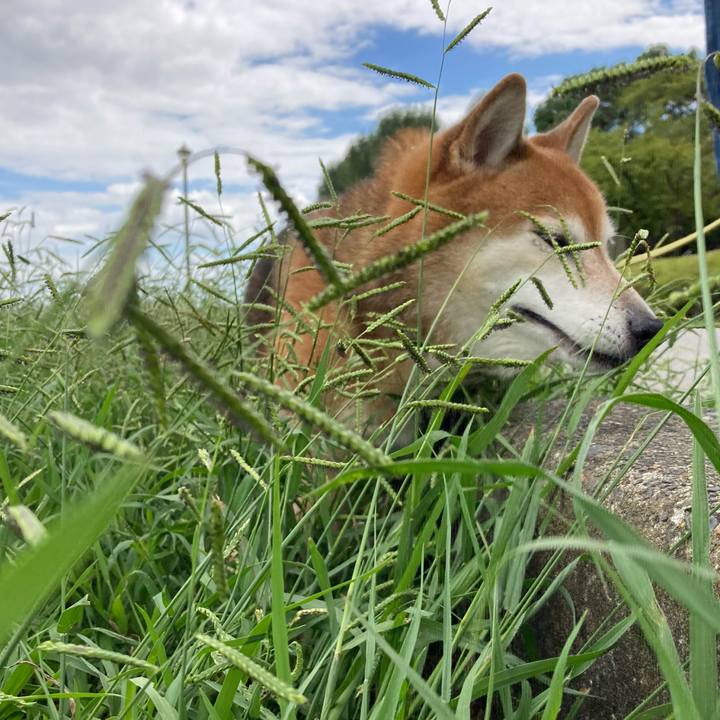 213237bf 2c8d 45f7 8ee2 3a6d1df4a36b 1695629929199