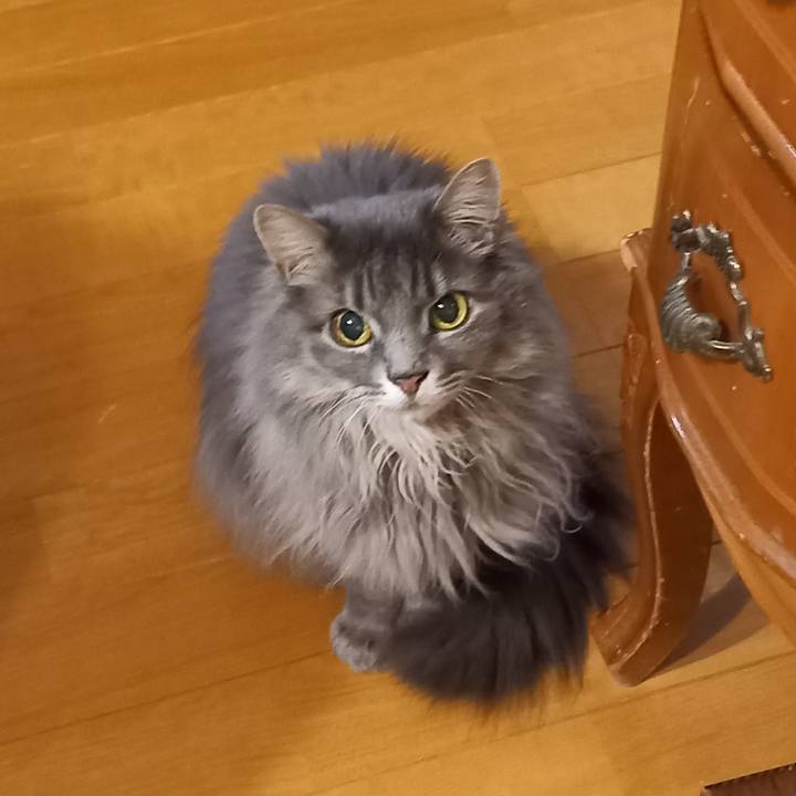 2132c00a acdd 481a 9e65 ca4991e8083d 1649763709041