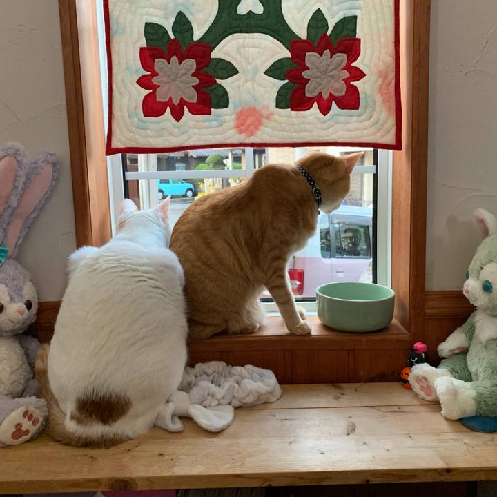 2132ccab 73b0 4c5d 91c3 a83495f176e6 1614981541921