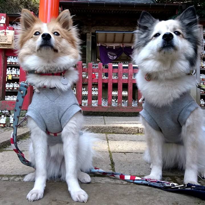 21330261 71c6 4a9a aec1 26c7455bd46e 1578400457850