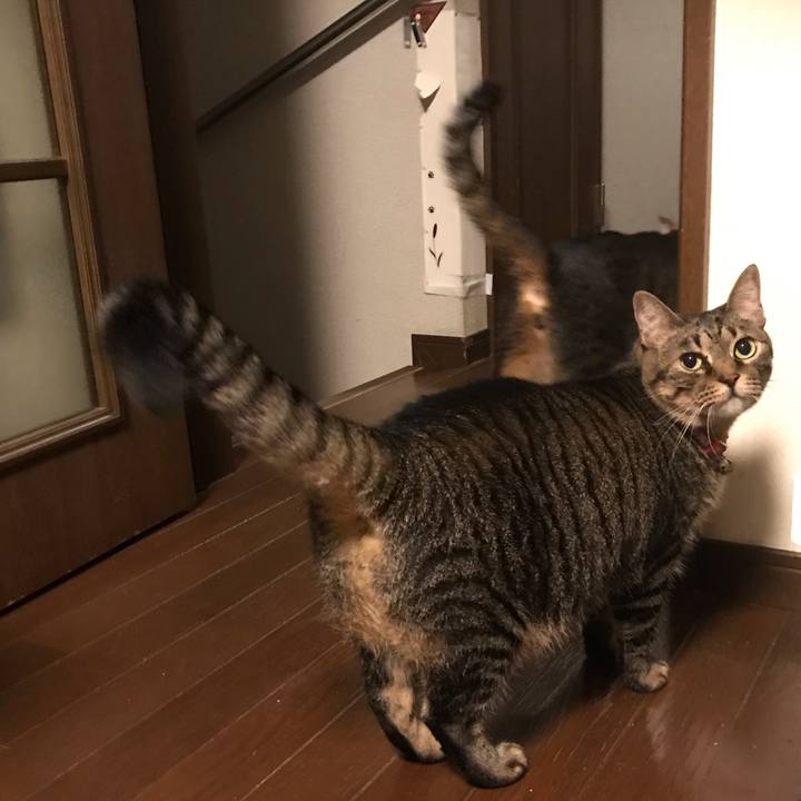 213304cf 97ff 4cb8 86ba e0b338637081 1544120712455