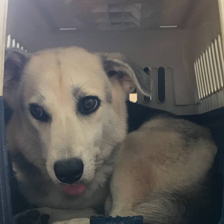 21330fa7 079f 46c6 8e85 30455430e0a0 1530685374745