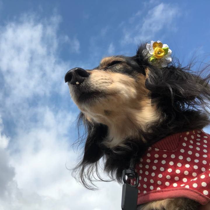 21336ea8 f467 4dd9 a238 7c85dbeb869c 1552524722266