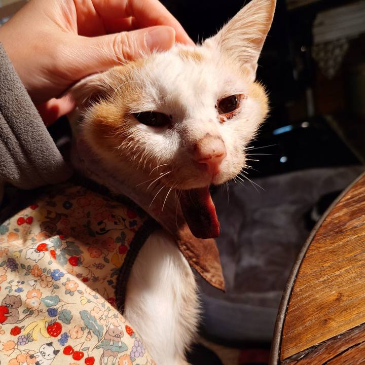 2133b8ff f008 405e 810e a199cf4a94fa 1770991511136