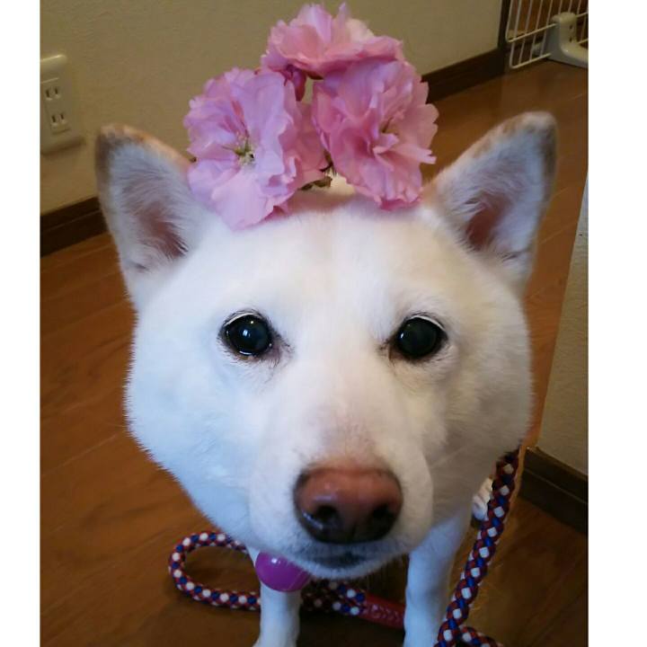 2133cbea efaa 493a 8b6e dbe749fc7a0a 1587459095068