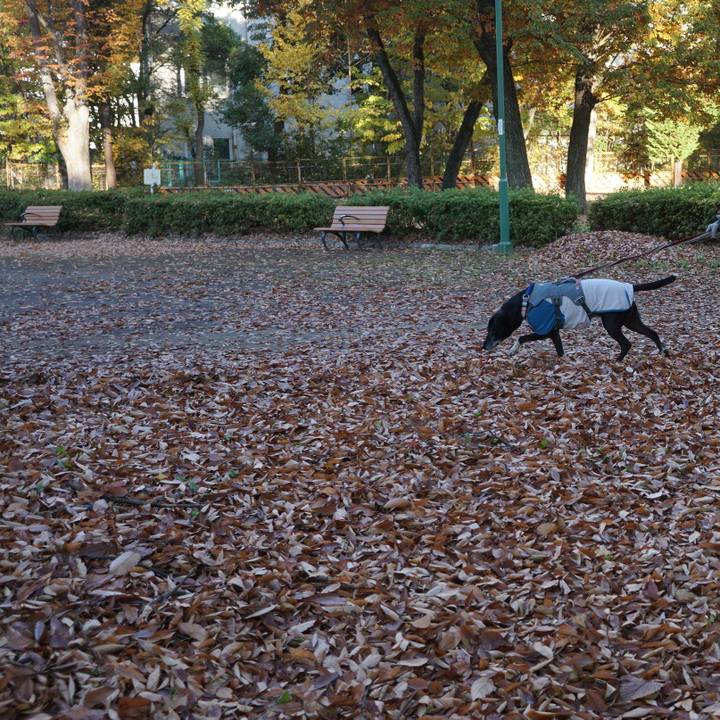 2133f0b3 5450 4559 8d12 0a6b392dfefb 1763943301884