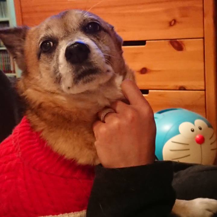 21340b4d 51a0 478d a7ce 96d90ed58eb9 1516785009951