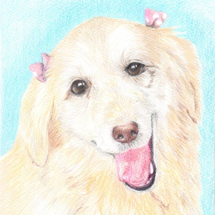 213417a2 bdd7 4d11 969e 1d8132b45dbc 1633783317778