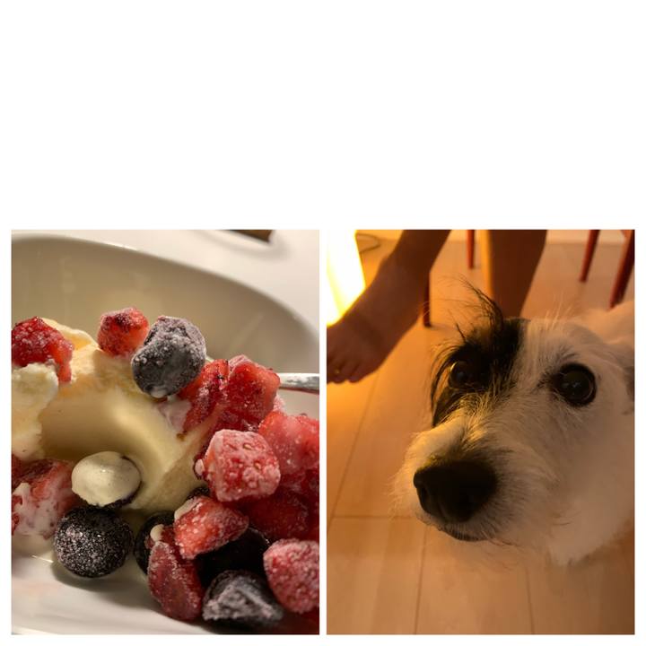 21345de4 c451 429f be13 950cbfad40fc 1629983660442