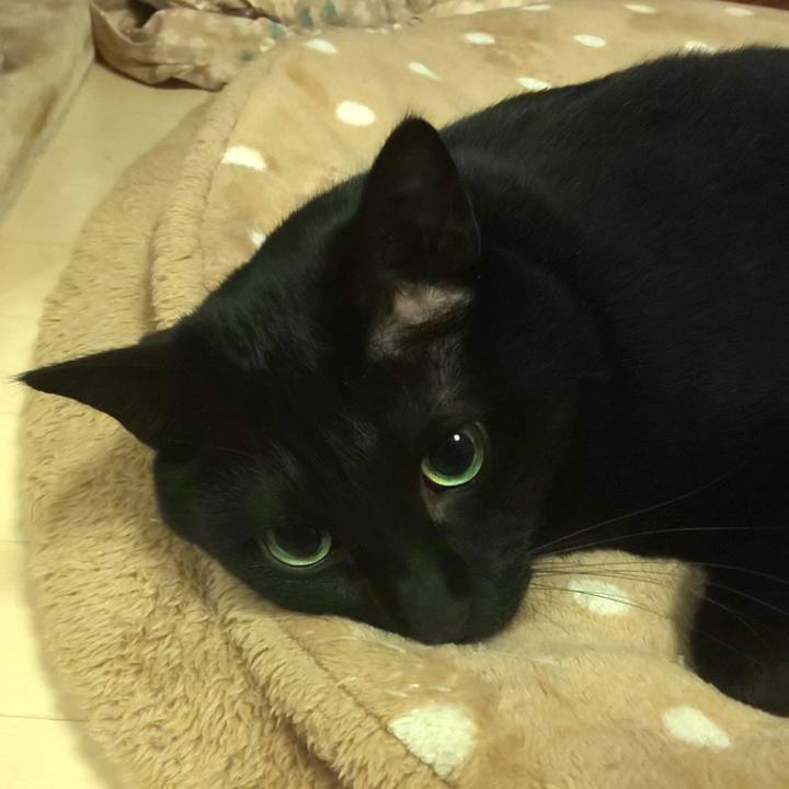 2134b880 762e 4f87 b05f ab0d94d1de36 1640875794369