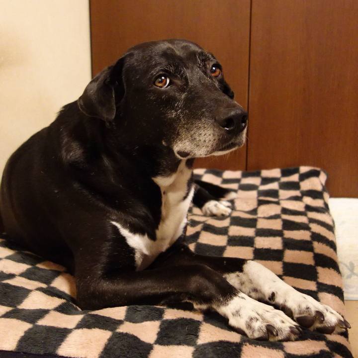 2134ce52 d2b8 4f94 b91e 9d436aef00ce 1732531624498