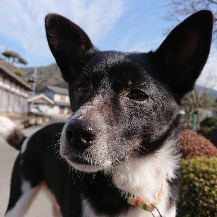 2134e425 ed11 4d90 8662 99cd705c0faf 1551056253506