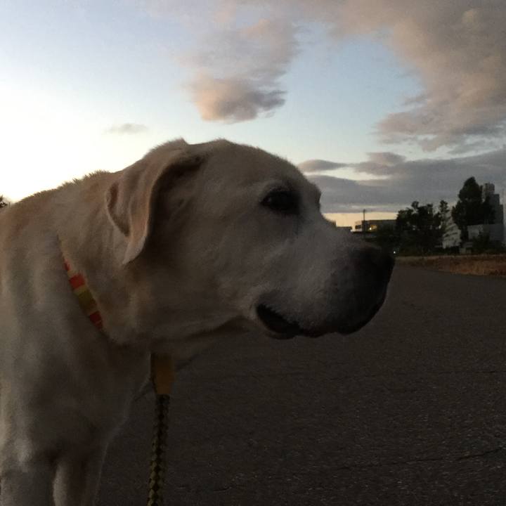 2134f50d e4d8 4bfd a1e7 e050b2fb5c50 1533897346486