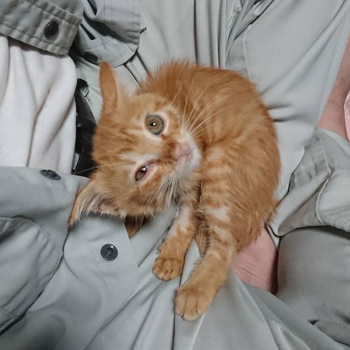 21350c87 f49f 42a4 a9b4 1908c2e296b2 1627809419213