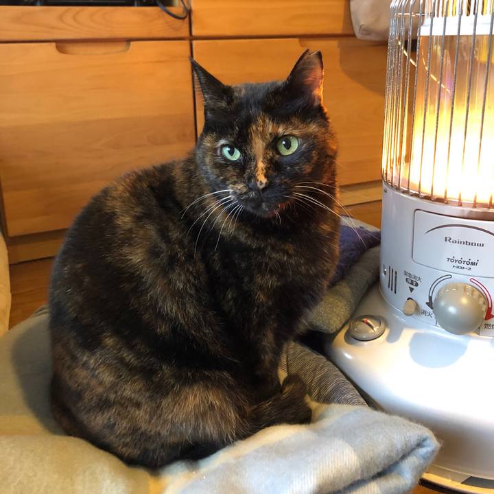 21354d96 f890 4685 8ed8 e569b29ec6d1 1578909512819