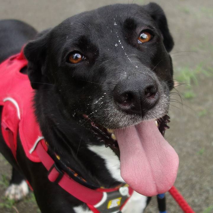 21355030 5c51 42af 863a 8ac32a5bece3 1594078918336