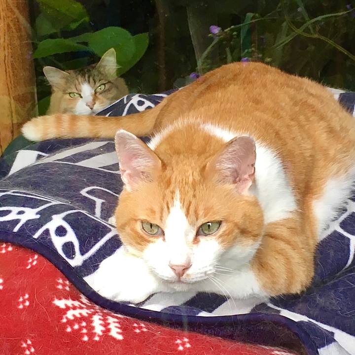 2135a84c 4c5f 4fef 9012 21cb61d0fd0e 1592037113631