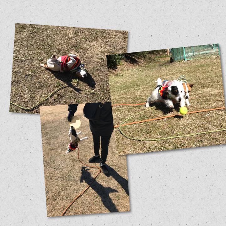 2135b76d 2c40 4119 9046 bddb822e716a 1515905741332