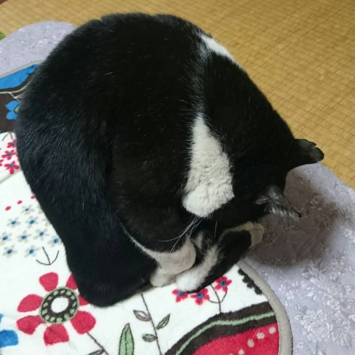 2135d008 acdd 4b92 b6db 45c8508d1aa3 1522884503354