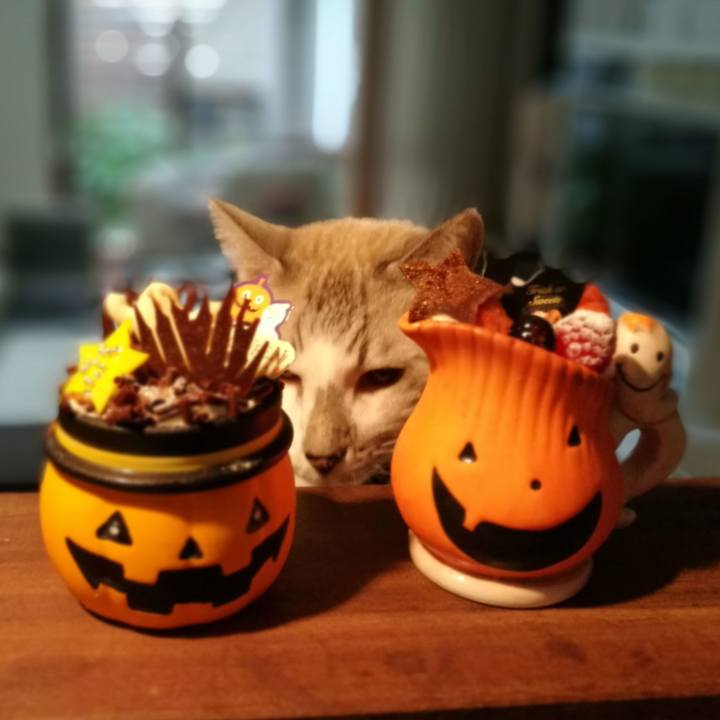 2135f4f7 5176 4e7b 8c84 8603482a496d 1509145797255