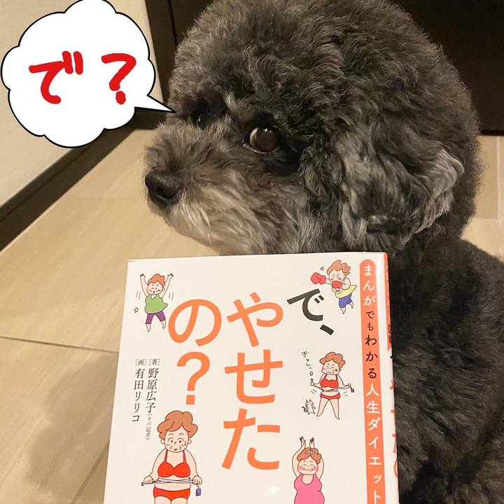 21362116 c122 4106 95b9 1f3b9c7966a0 1634906139188