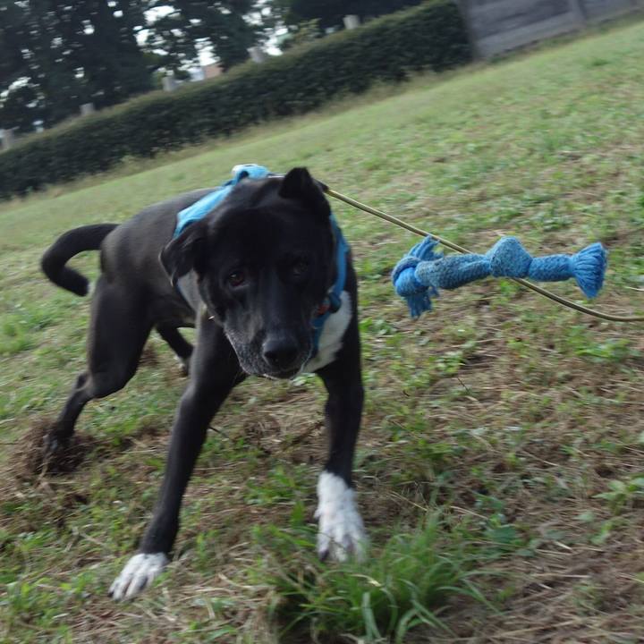 21362909 8cc2 4e1c bb7f eeb0a12d4eff 1634258069299