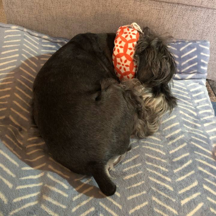 213661cd 8e42 44ad 801c 33f9833f85db 1692058002419