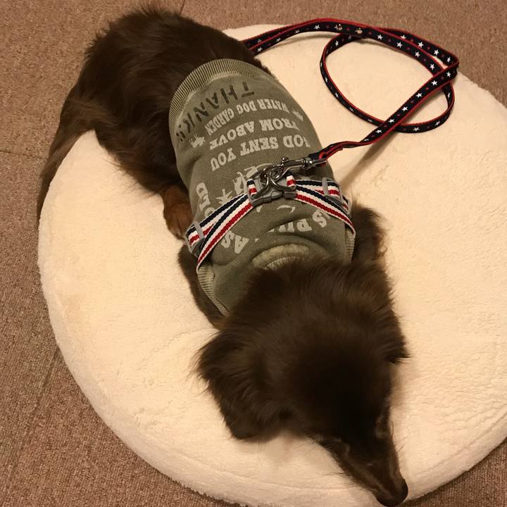 21366b88 1bd1 4687 a1d1 be4bc6926cbb 1522832173707