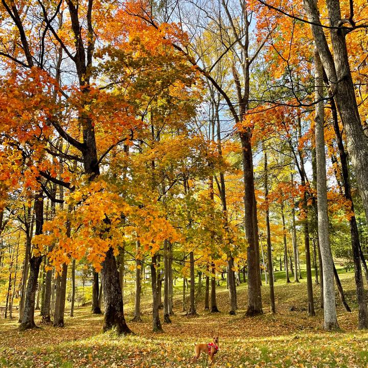 21368d0e af71 4257 a94b 1fd14c08044e 1634199718705