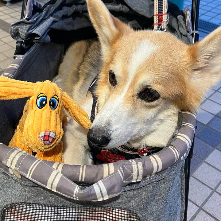 2136cb4d 90f9 4f43 b717 3d8ec00459d0 1769238899625