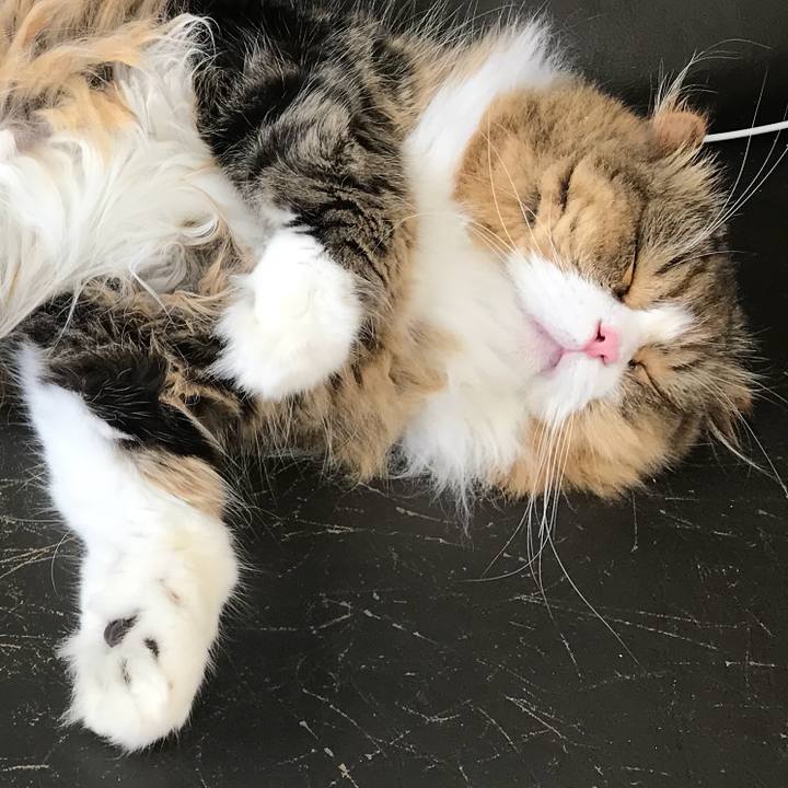 2136fe4f afdb 48a9 bf83 a27e3edd201b 1534336649421