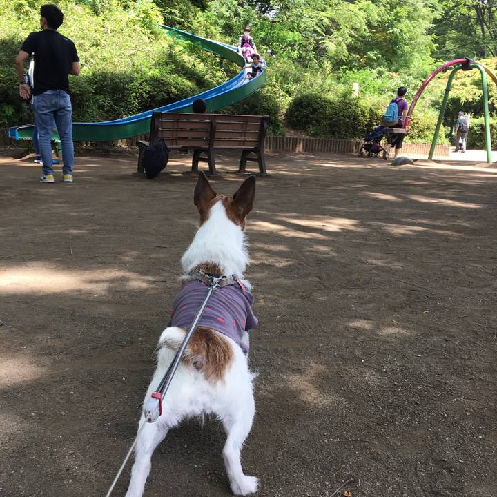 21373129 5d87 49dd 85ba 0705d3458cd9 1620518727982