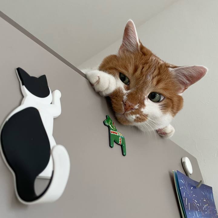 21379663 a166 4bf4 8ad4 e9fa1855c30e 1658357614950