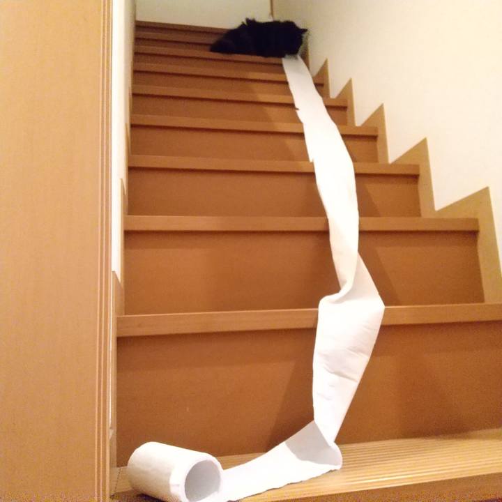 21379abe efbb 4a89 a967 9d3decf0728d 1581936020260