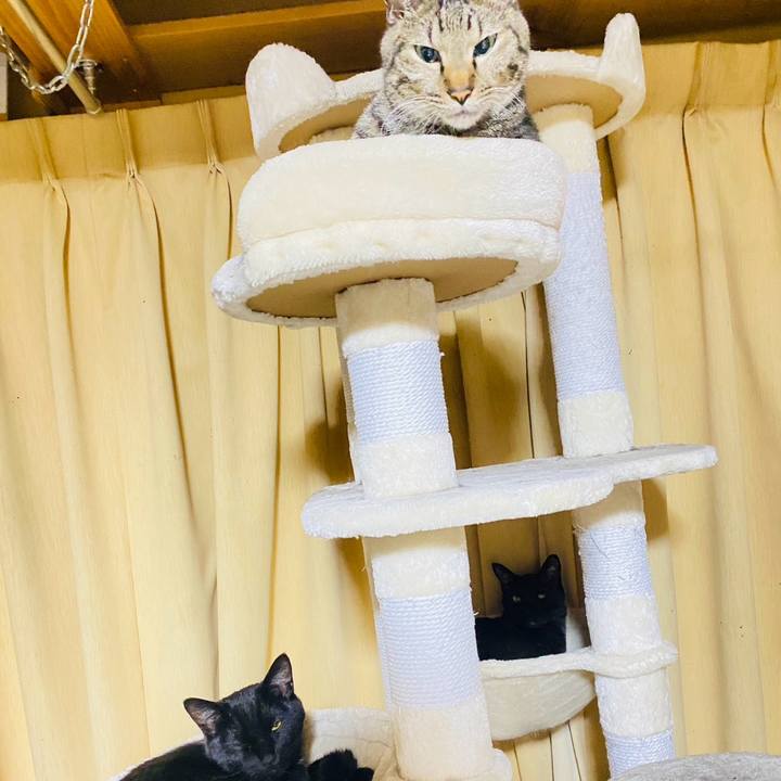 2137a156 7454 4fde a9cd a597f7728279 1771772411132