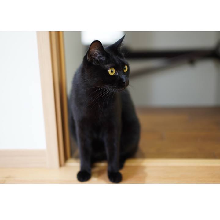 2137d600 c4de 4758 9813 e28643ee7933 1566346164253