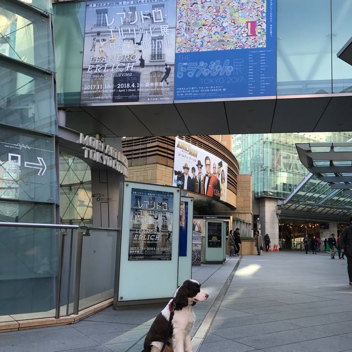 213805d5 6af4 4ef6 b24b 2b686a3c0351 1514349841157