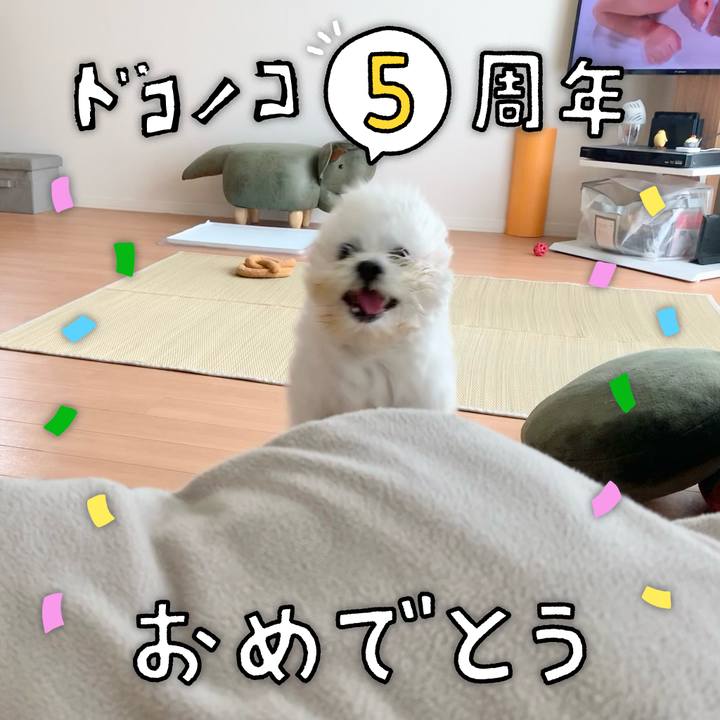 213840e7 f07d 4e3e bea4 dce8e1829c08 1622997798229